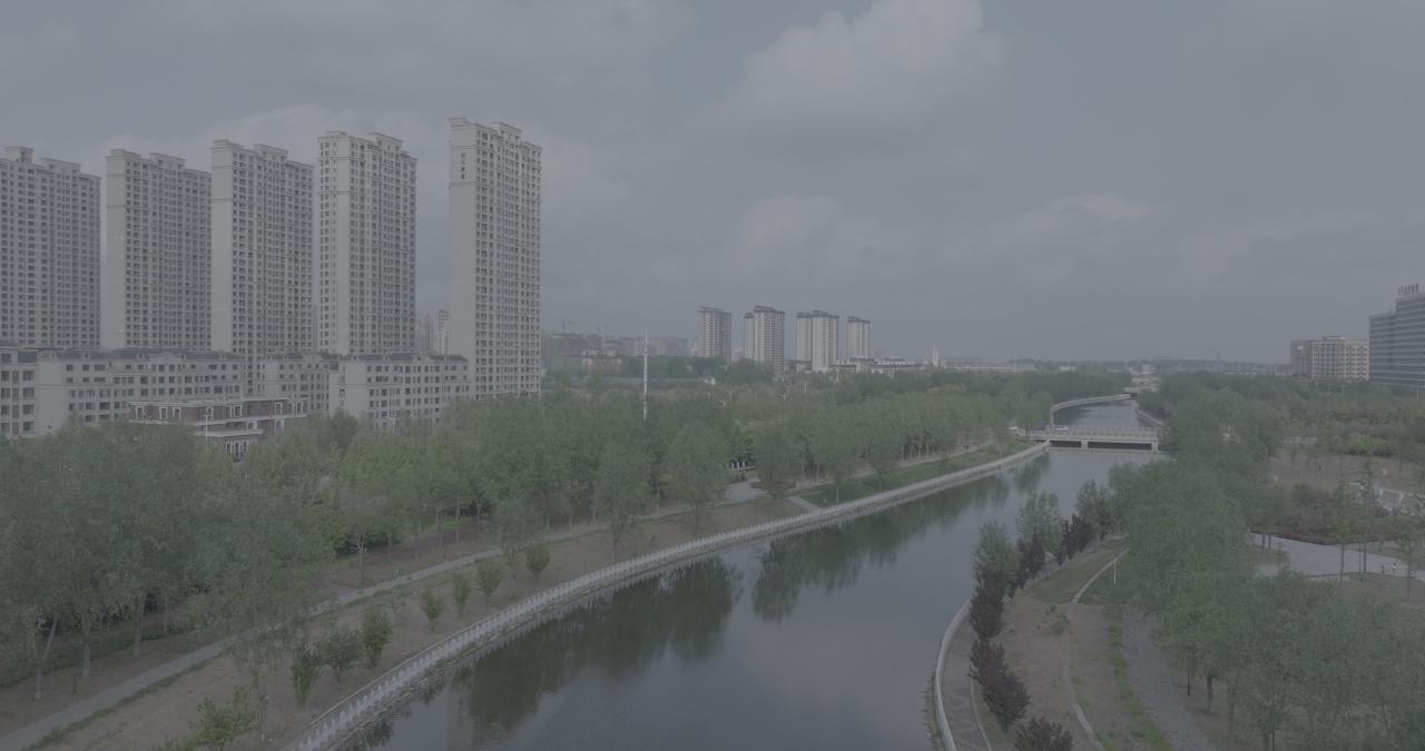 城市河畔的宁静时光