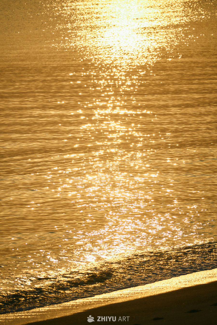 夕阳下的金色海面