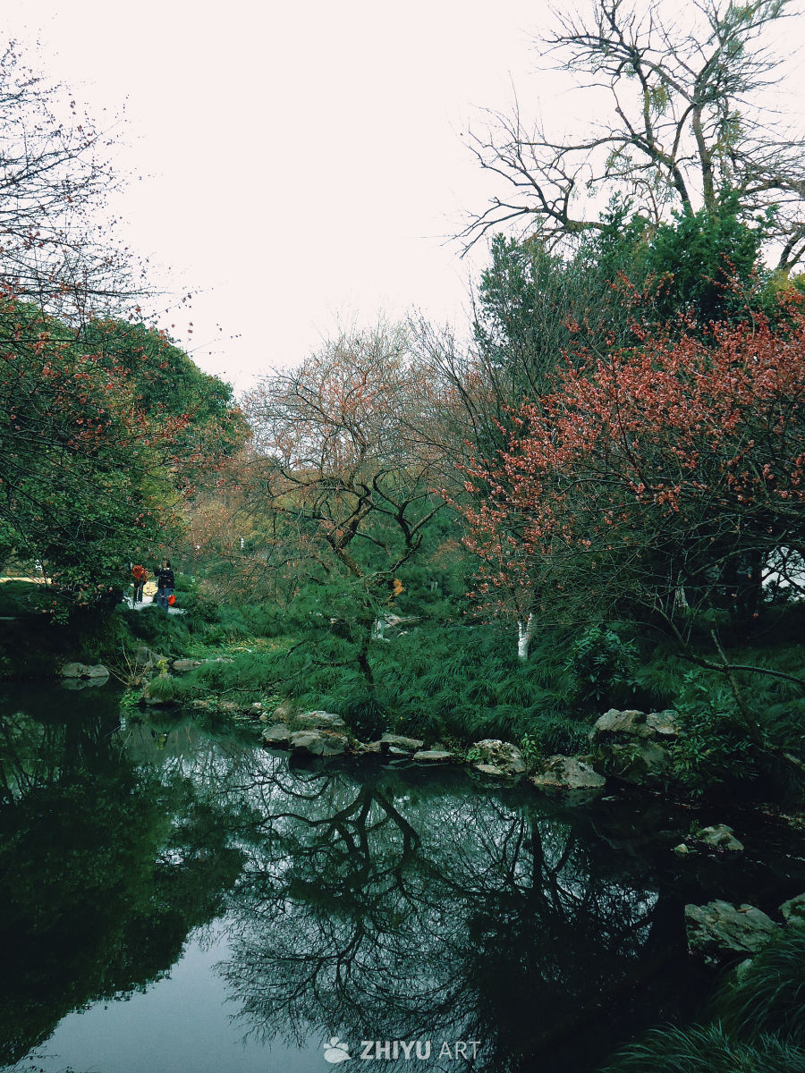 溪涧穿石红树影
