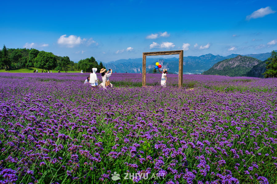 祺泰森林氧吧 3