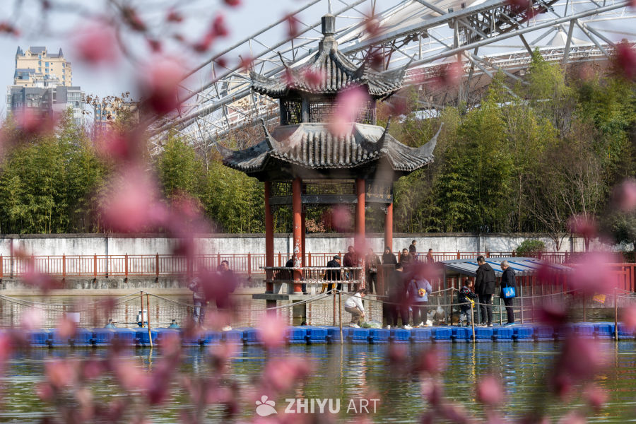 苏景园 48
