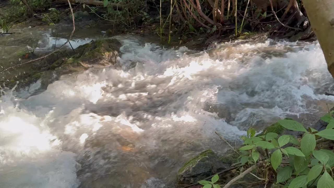 山间溪水在阳光下翻腾