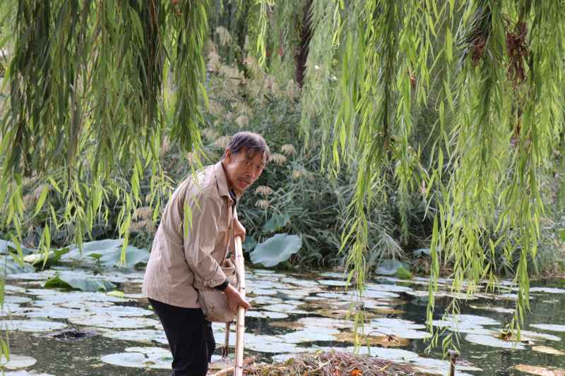春游随拍1 21