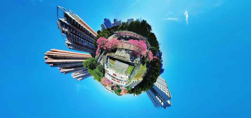 华南师范大学（华师）
