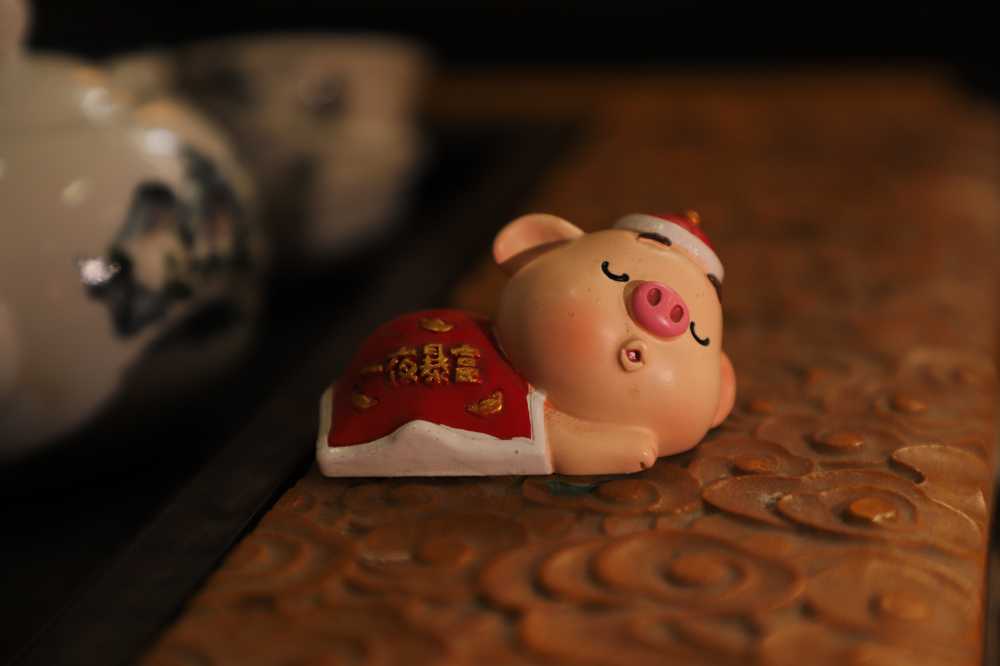 暖暖睡啦~