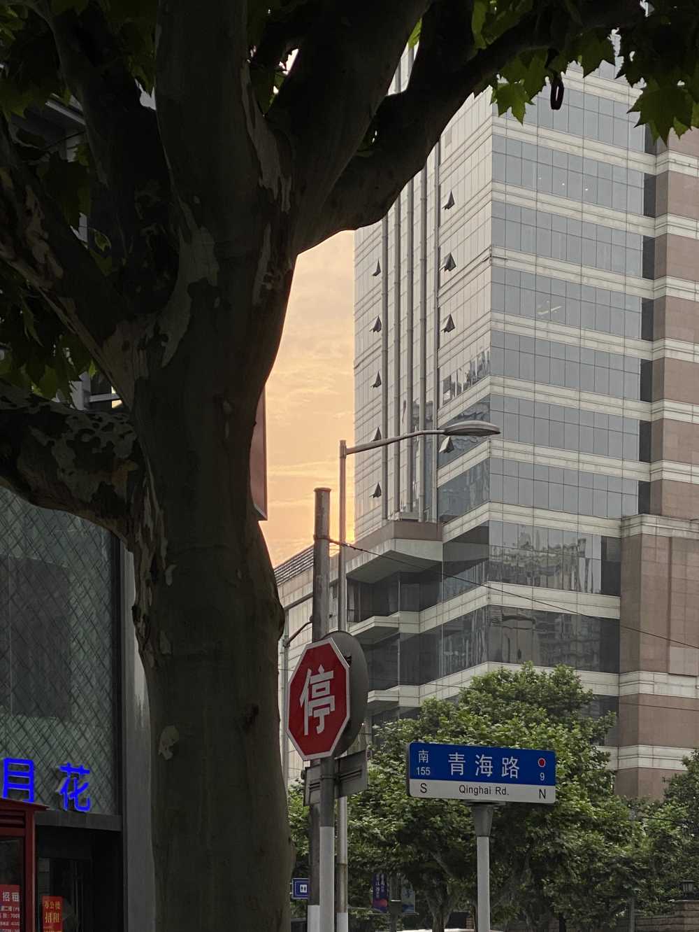 青海路