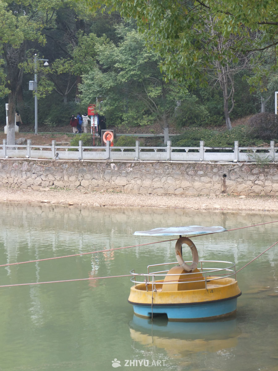 划船 11