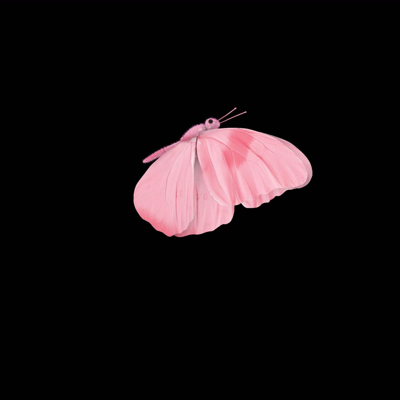 蝴蝶飞舞 带透明通道 无缝循环