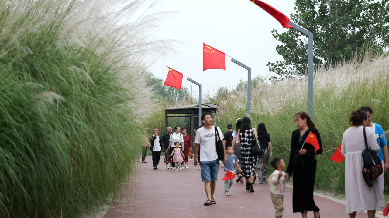 国庆江边芦苇荡 21