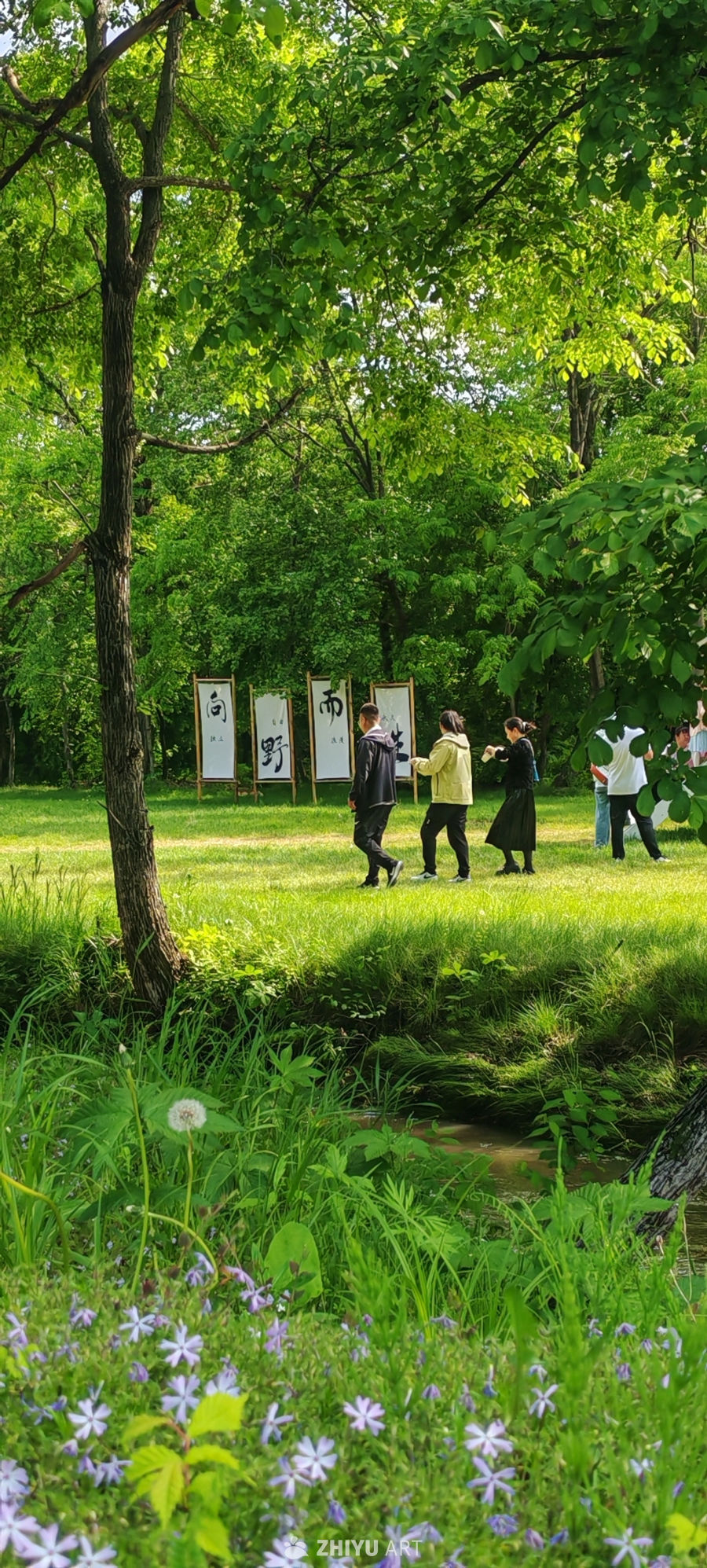 春林向野 花溪漫步