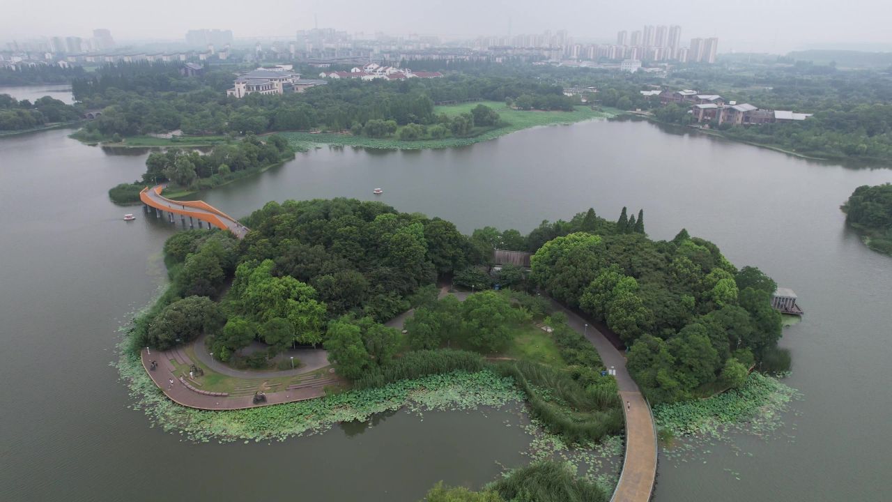 航拍夏日风光荷花荷叶植物镇江白娘子公园 