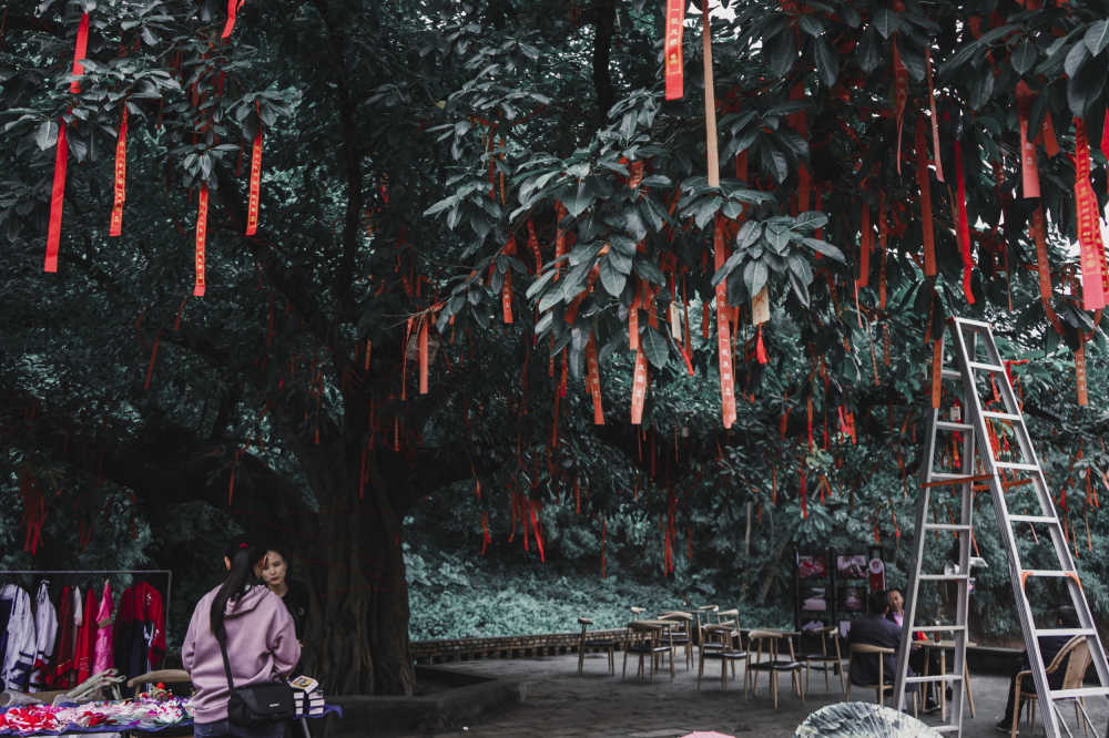 爱情树