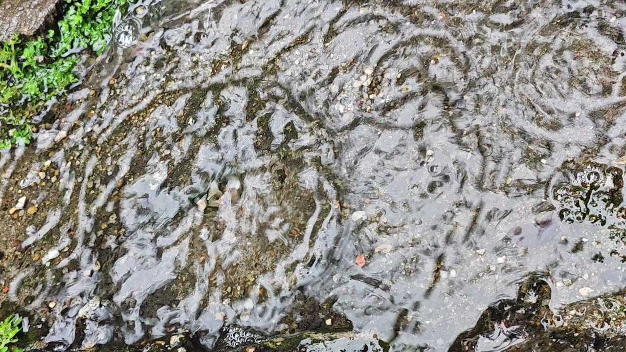 4K楼前雨水水洼