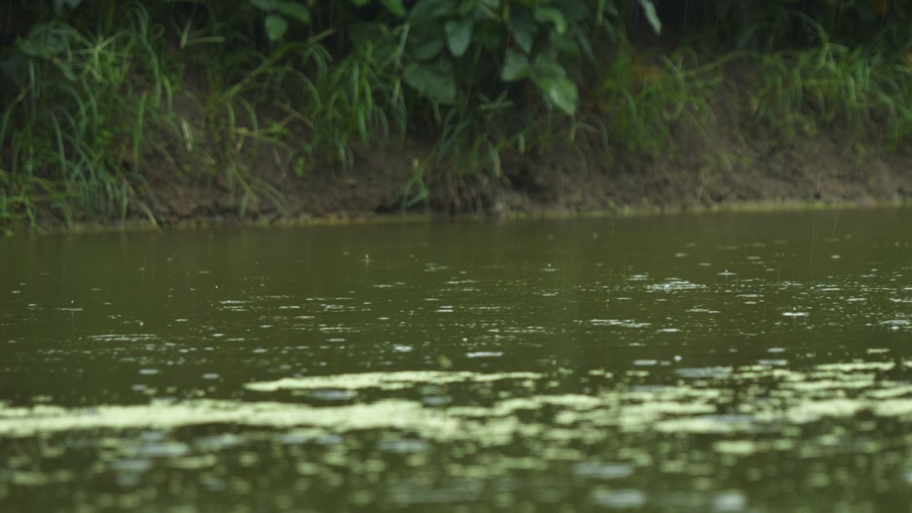 下雨清明谷雨酸雨倾盆大雨蒙蒙细雨 10