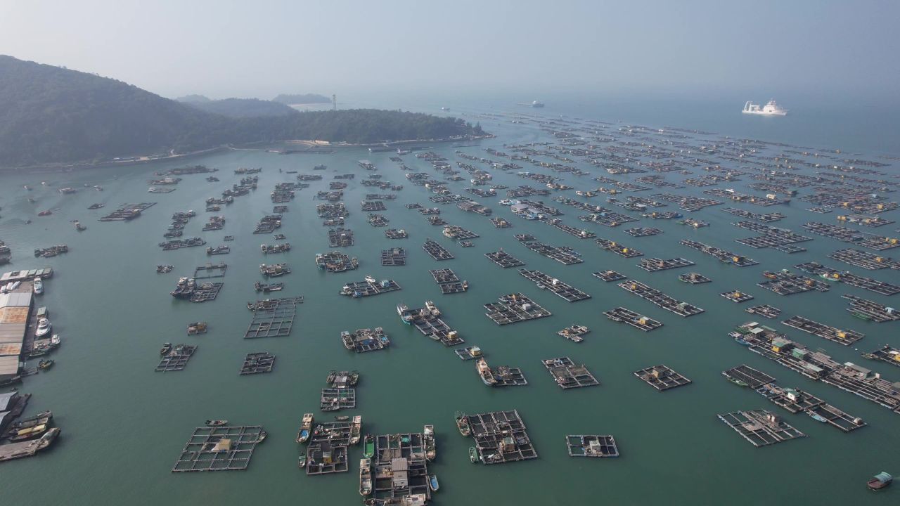 蓝色海洋大海海鲜养殖基地航拍 