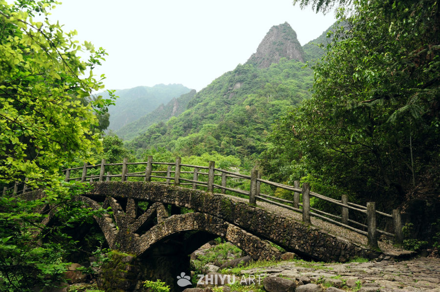衢州药王山的猴群和山野瀑布 1
