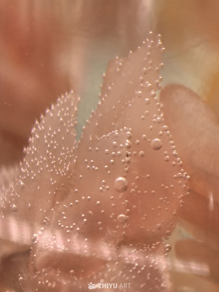 谁能猜得出来我拍的啥？