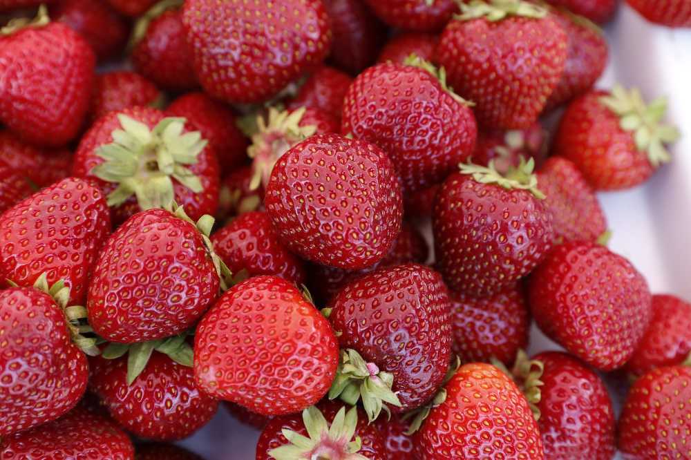 草莓莓果美味