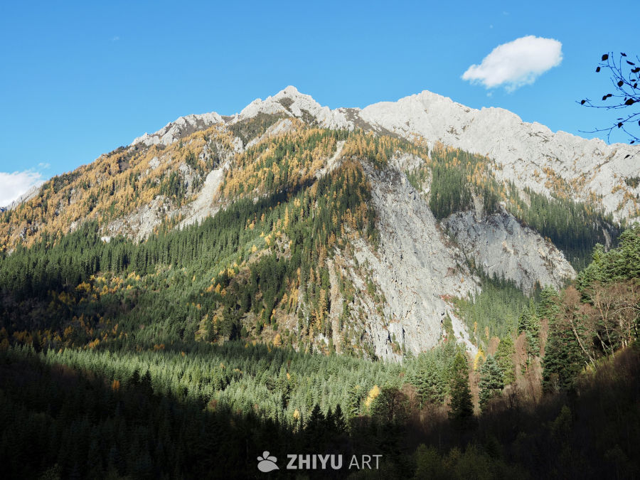 川西九寨/毕棚沟/四姑娘山 22