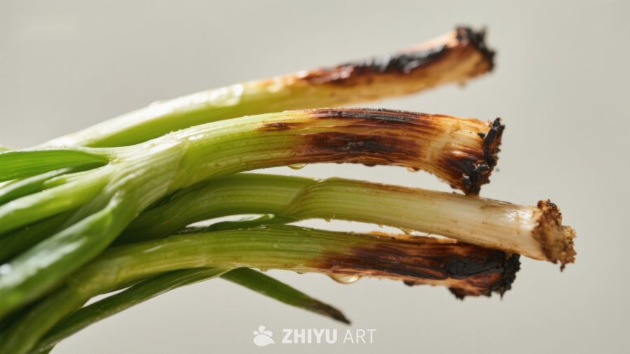 烧焦的葱段特写