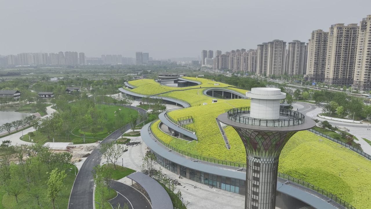 温州三垟湿地东入口航拍景观 4