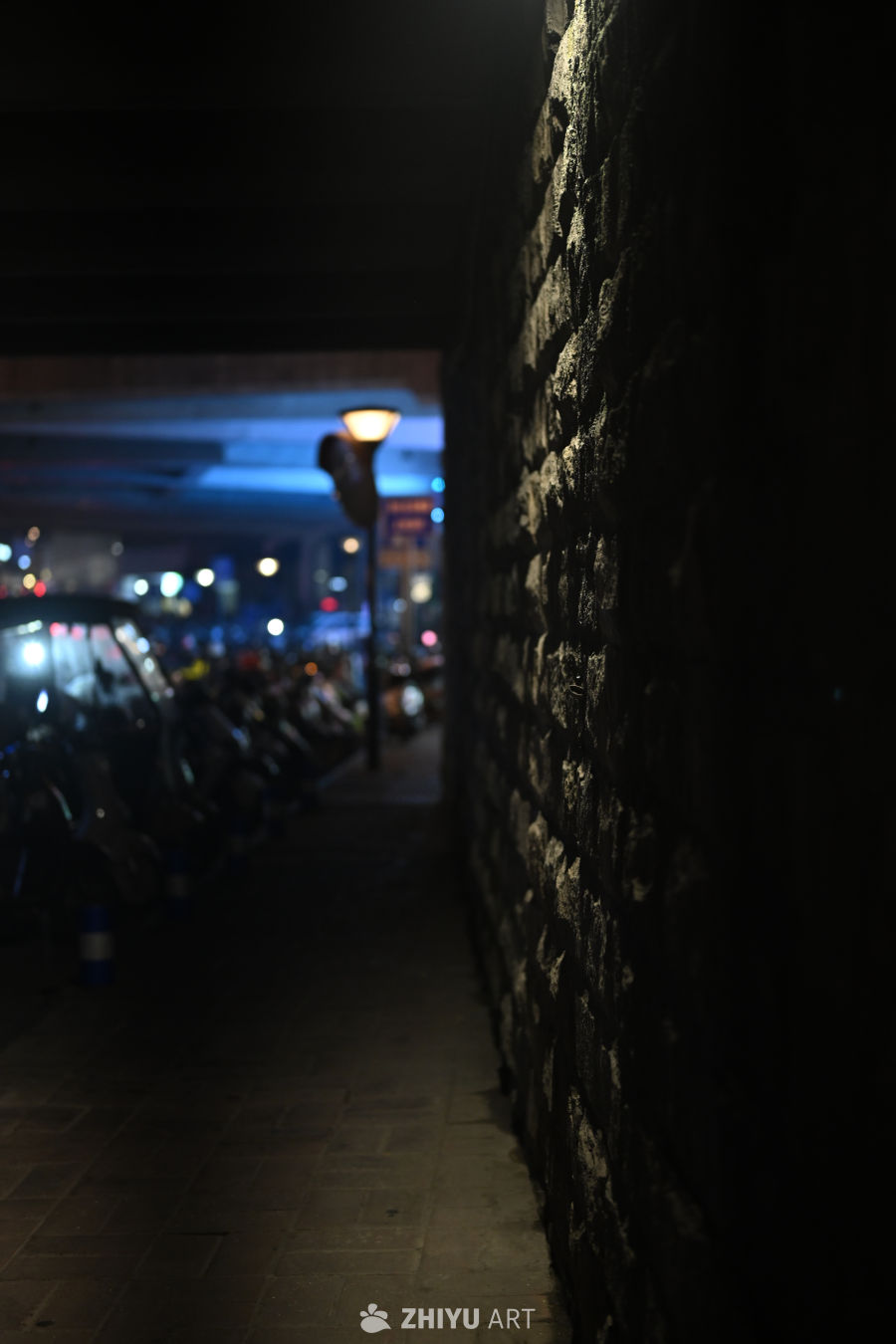 尼康ZR 照片拍摄原片样片 293