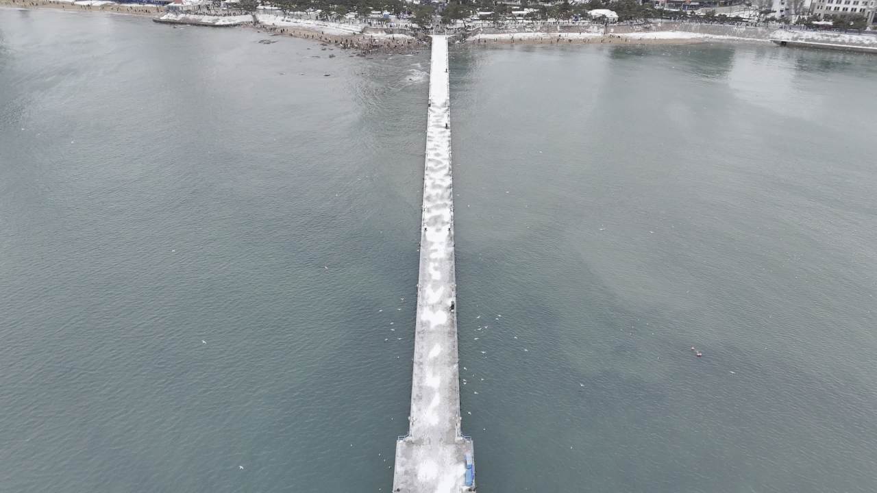 青岛市南老城区栈桥海边雪景航拍 15