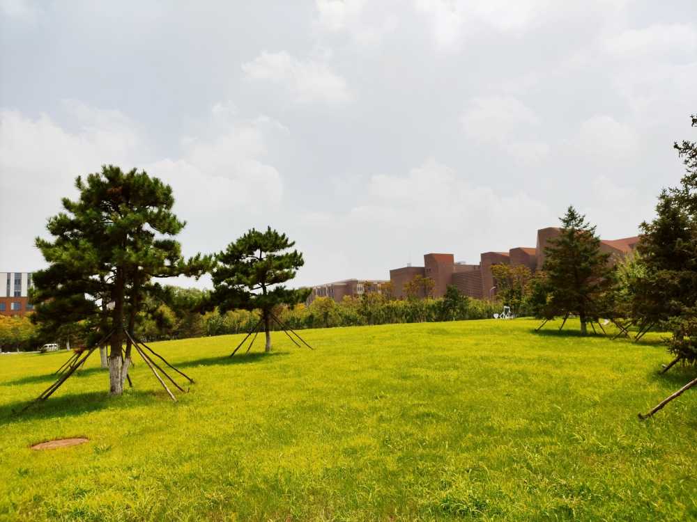 东北大学风景