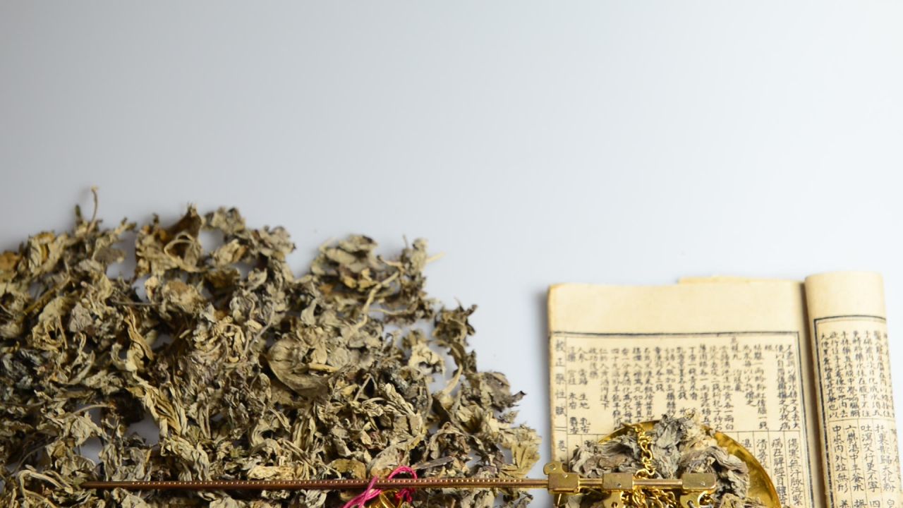 艾叶中草药 24