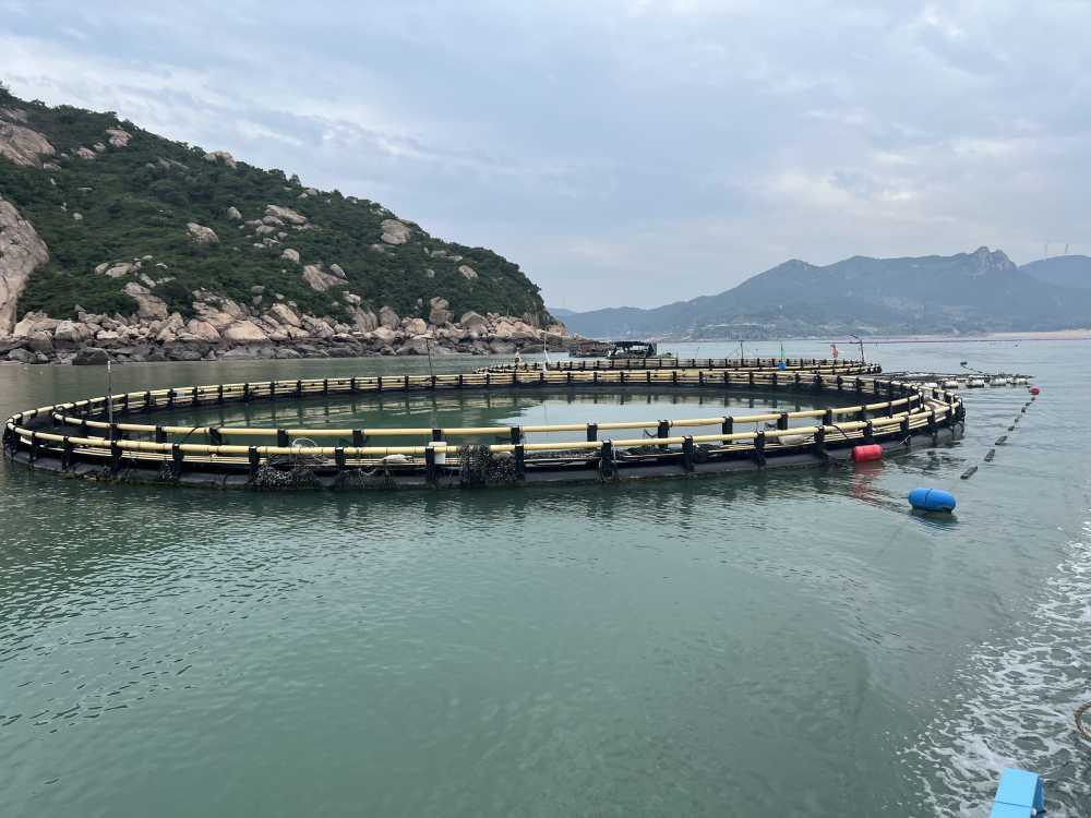 霞浦海上养殖
