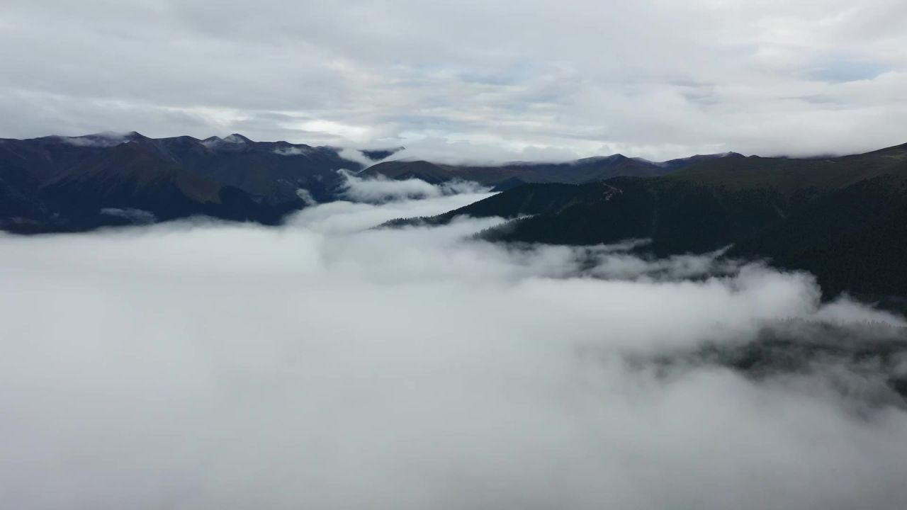 航拍云雾中的鲁朗林海风光