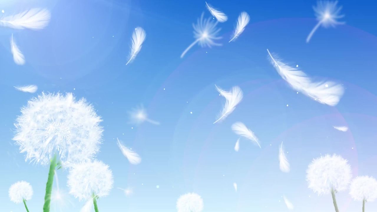 小清新蒲公英梦幻粒子led视频素材 19