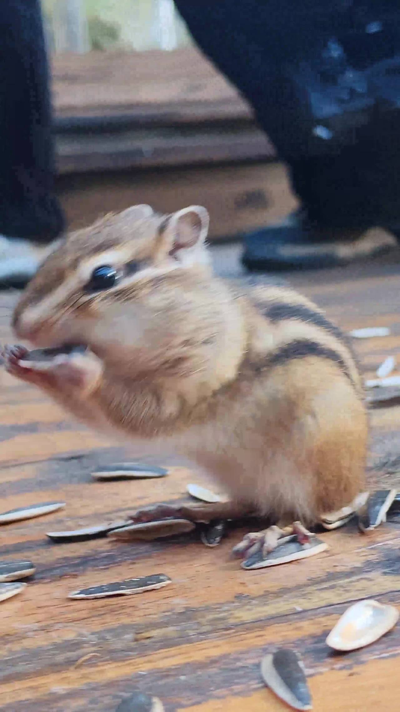 lv_0_20251005084558 2