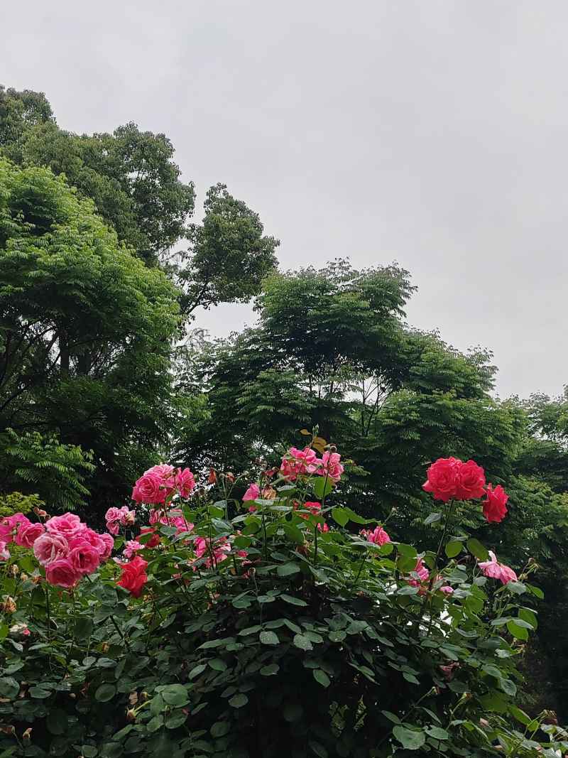 心花路放