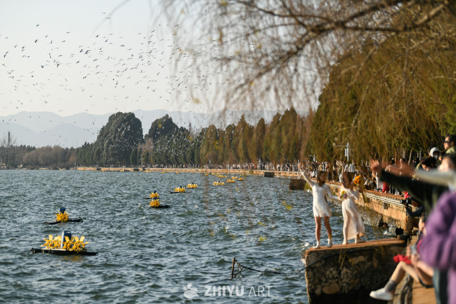 湿地公园  海鸥飞翔  鸟群飞翔 13