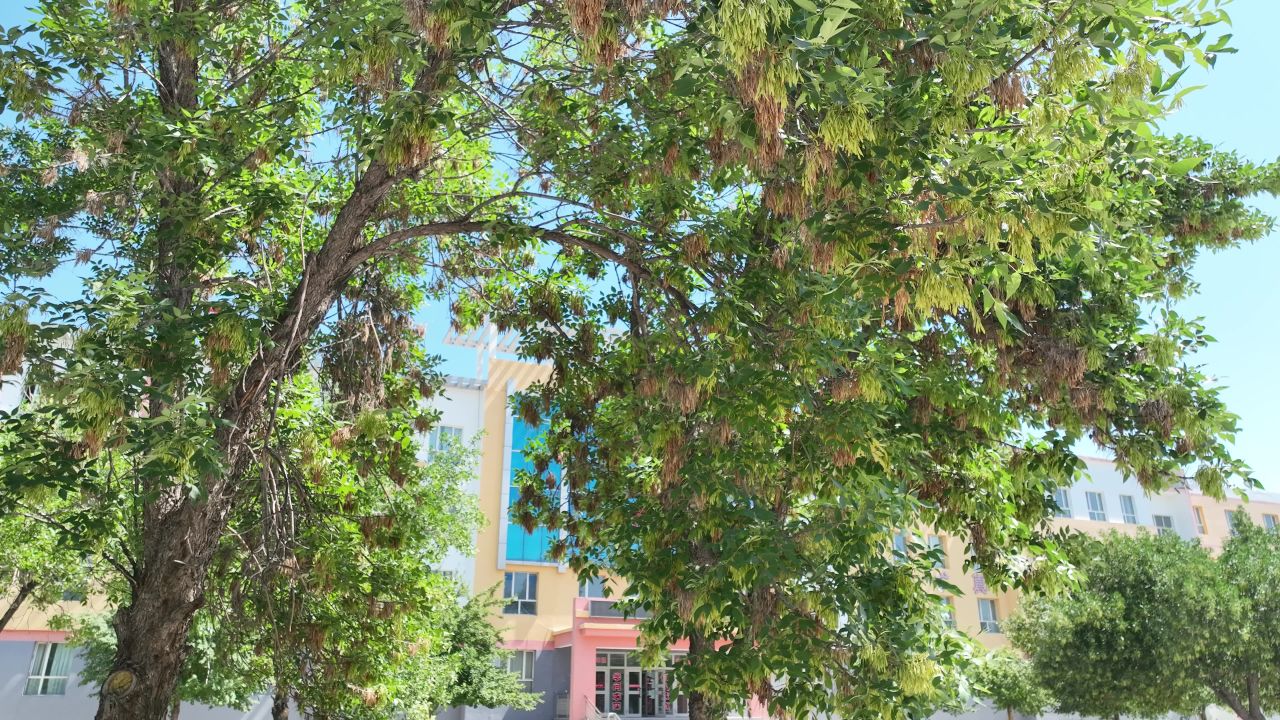 学校教育新时代学生教学 3