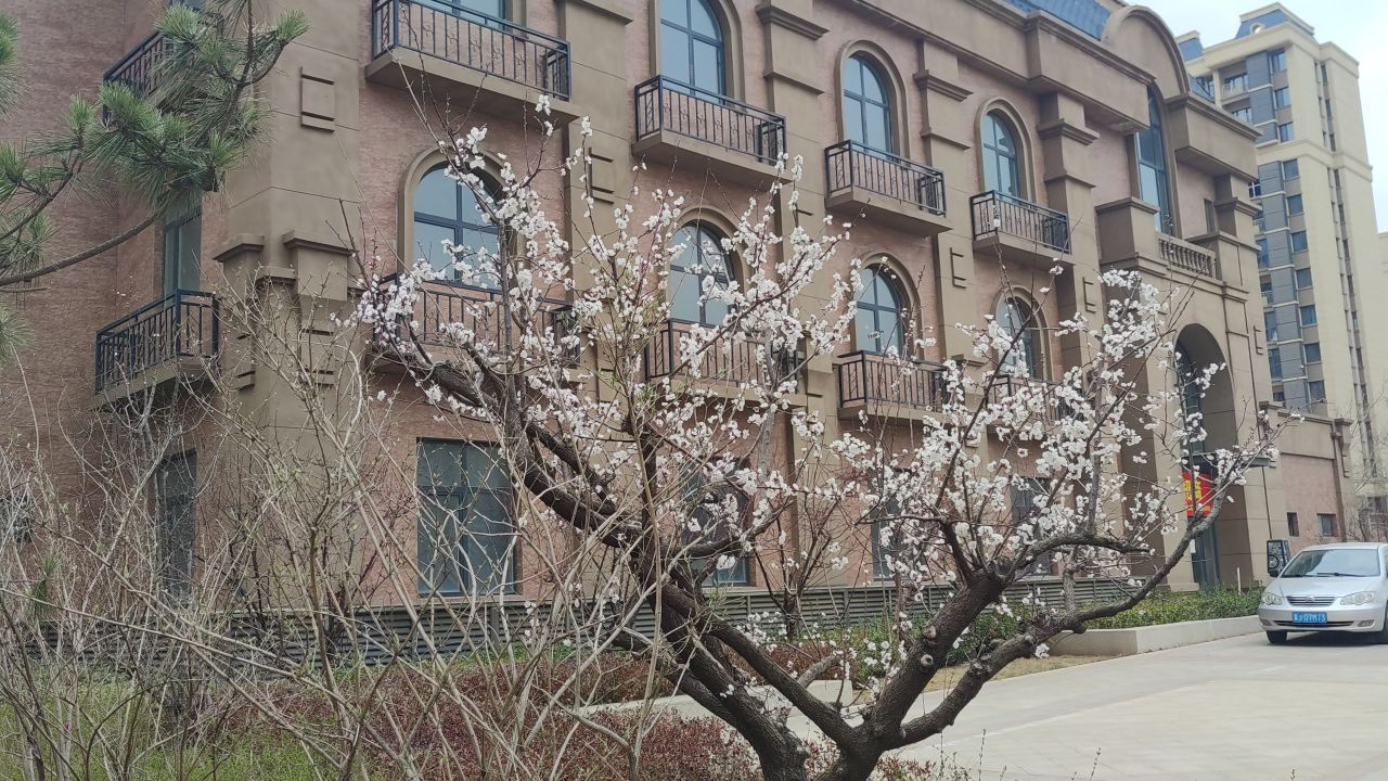 春景