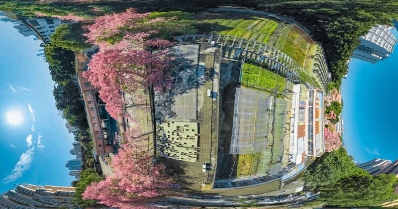 华南师范大学校内