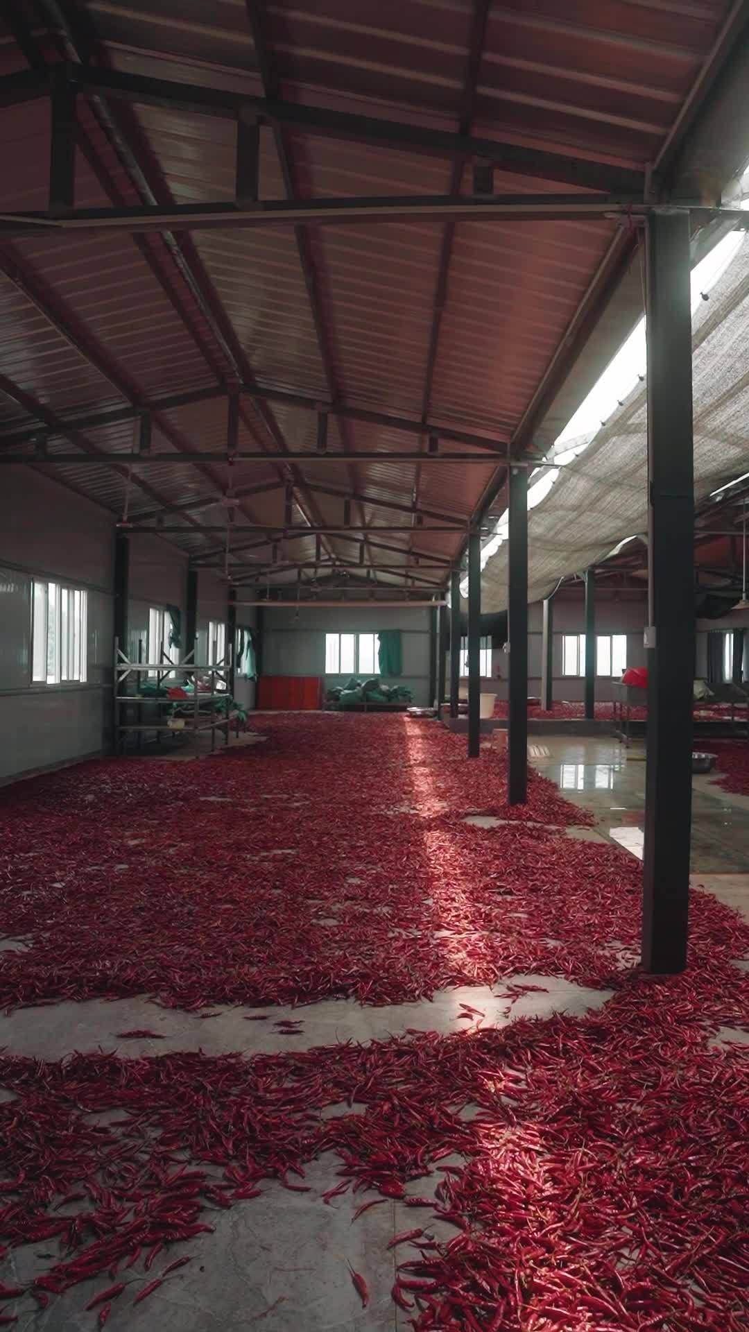 红辣椒仓库的干燥过程