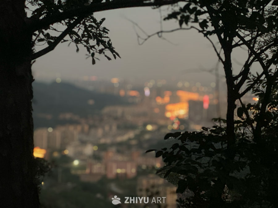 城市夜色剪影