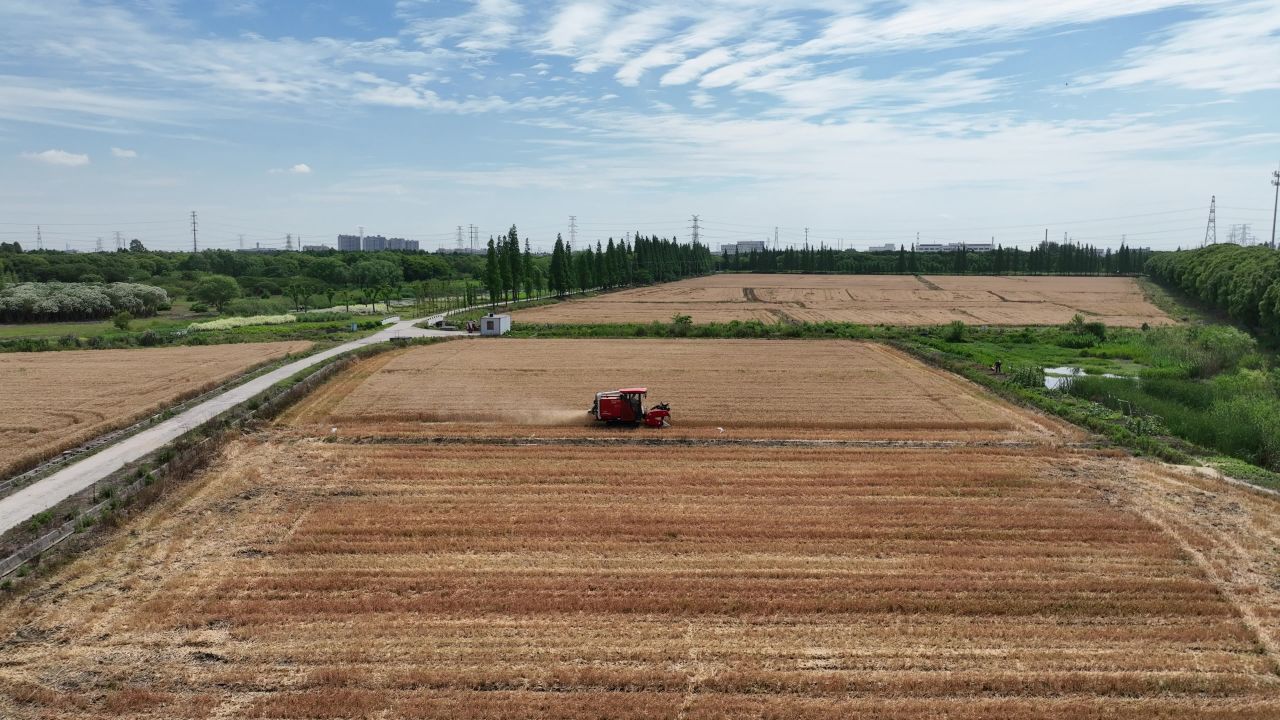4K航拍昆山农业夏收 51