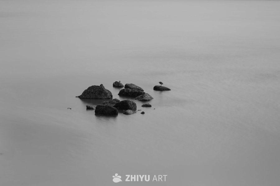 鸟