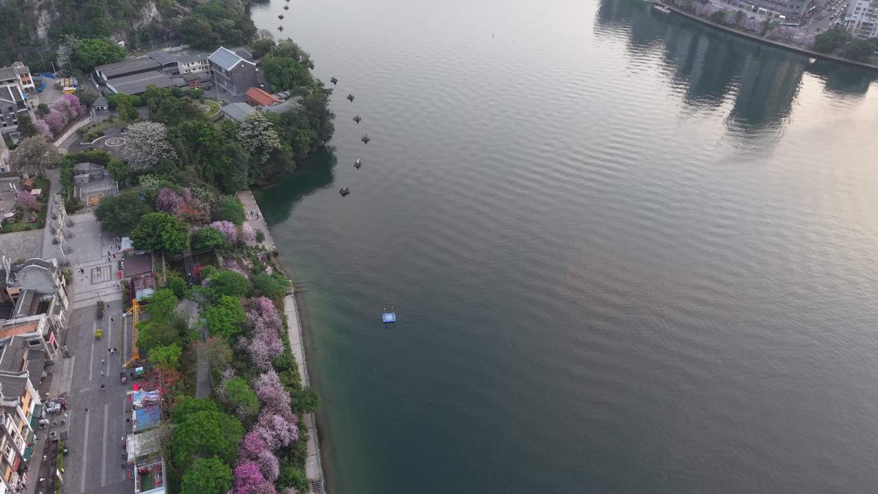 柳州 12
