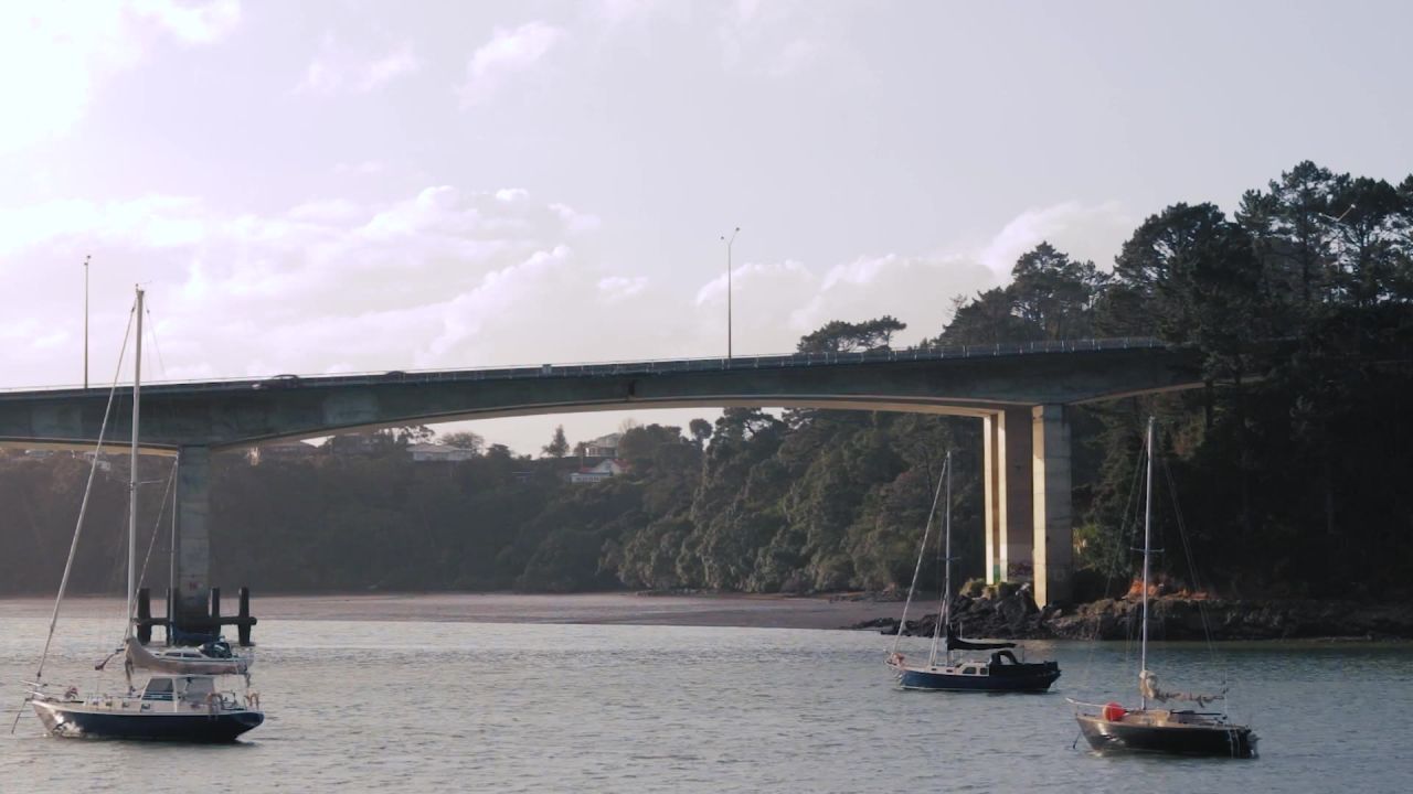 奥克兰新西兰桥景观