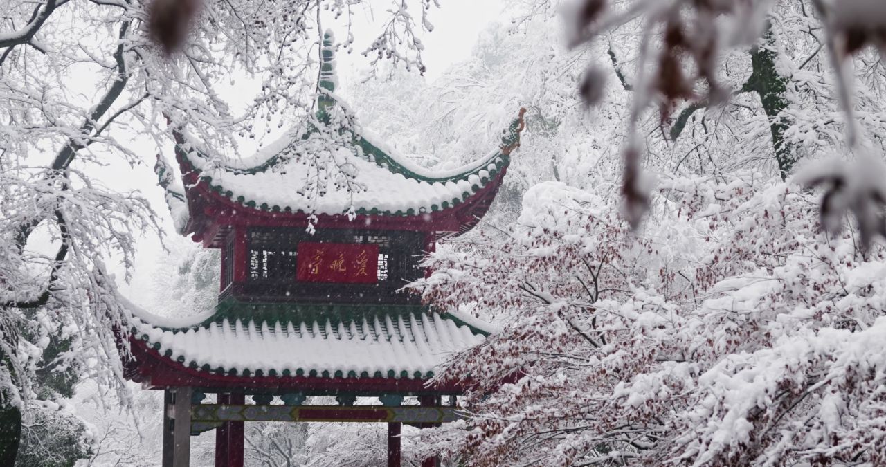 湖南长沙岳麓山爱晚亭城市雪景风光 24