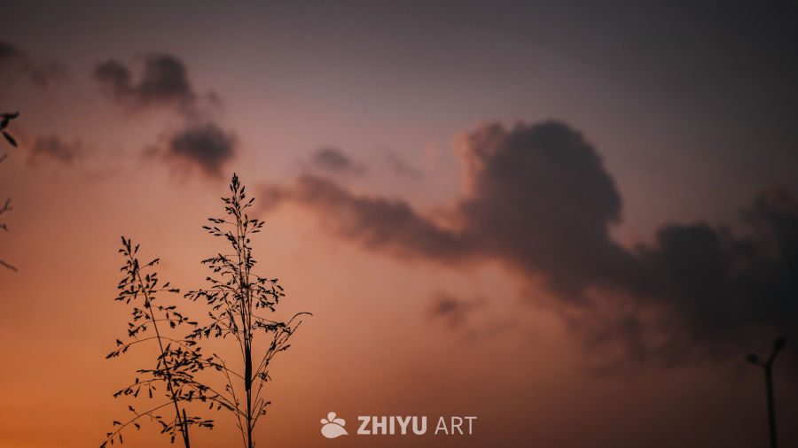夕阳西下