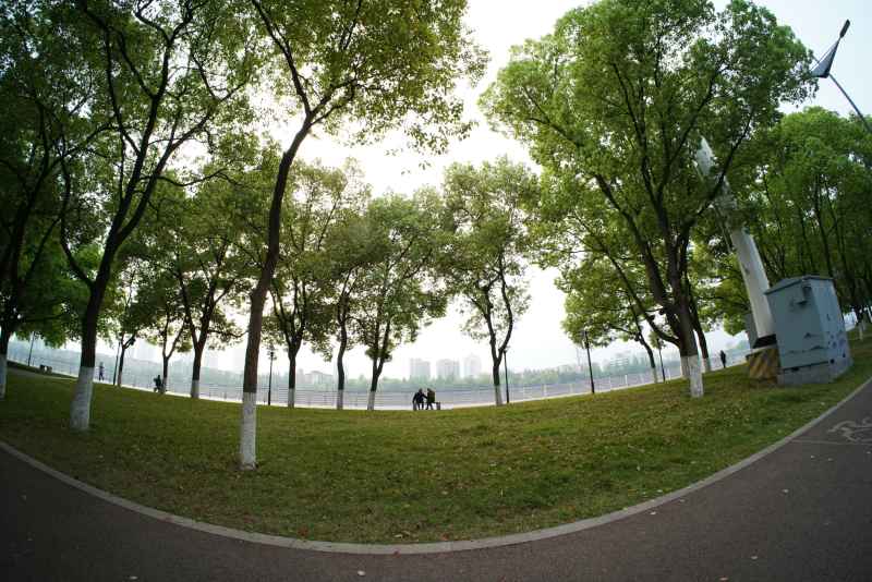 宜昌扫街 10