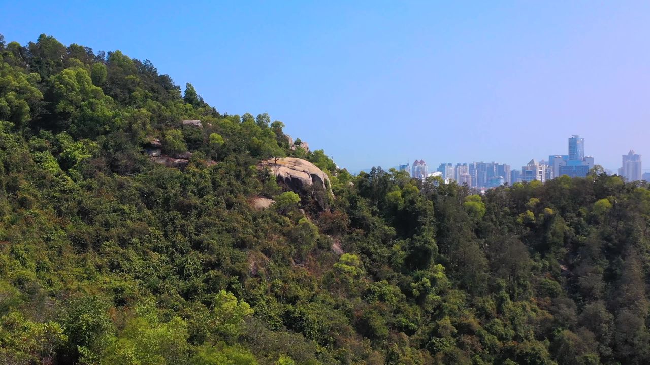 闹市中的一丝宁静2