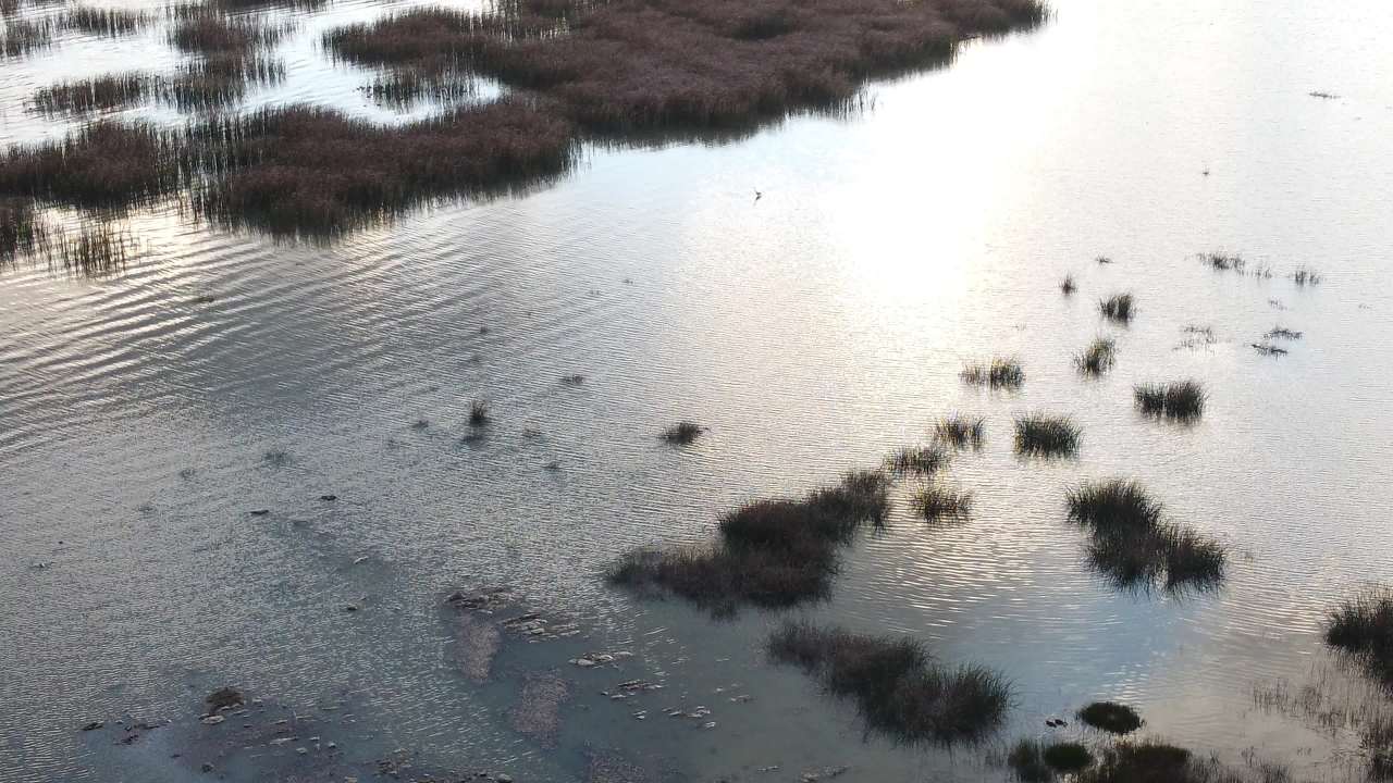草海 6