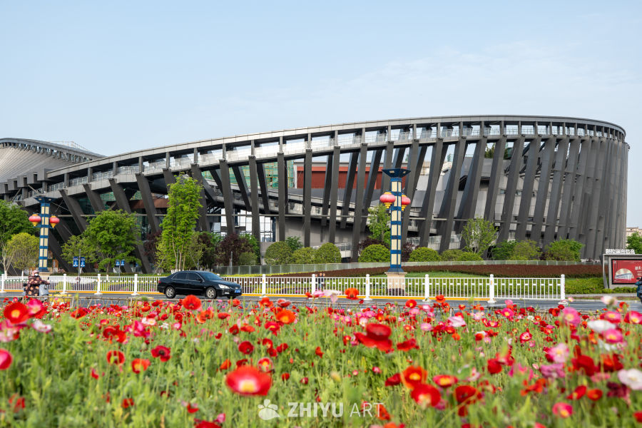 月季花 25